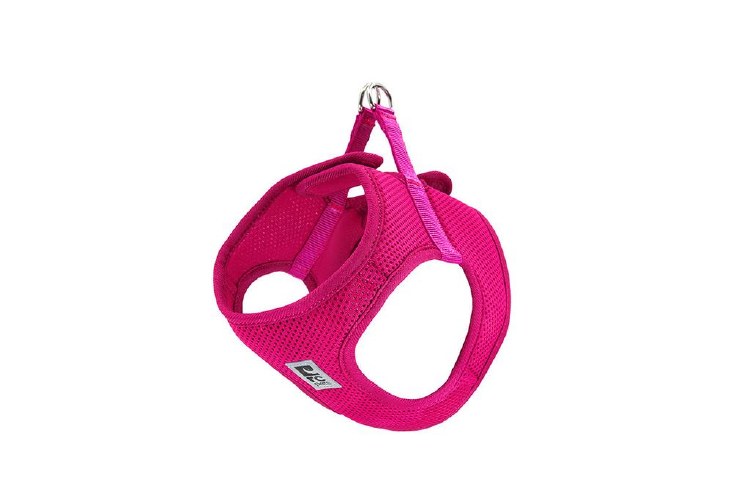R.C Step-In Harness L Raspberry