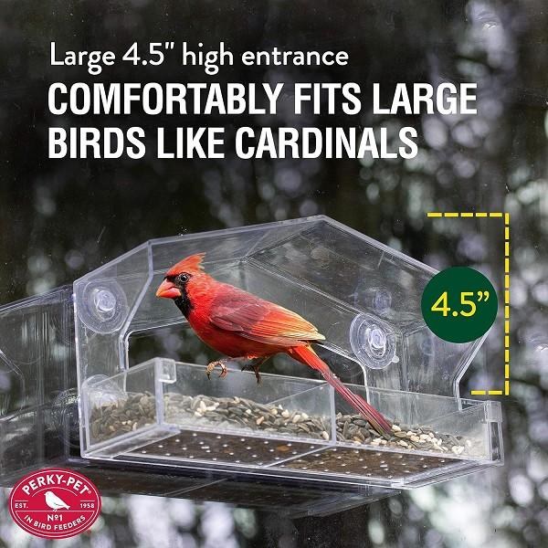 Window Feeder-Sm