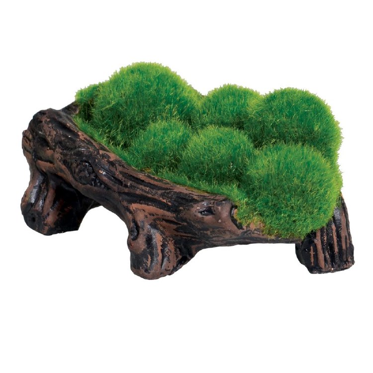 Mossy Log Cave w Airstone