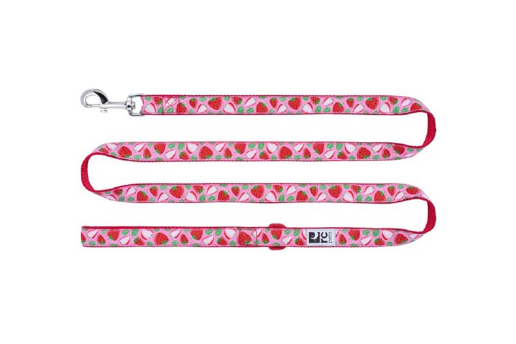 RC Pet Leash 3/4x 6' Strawberries