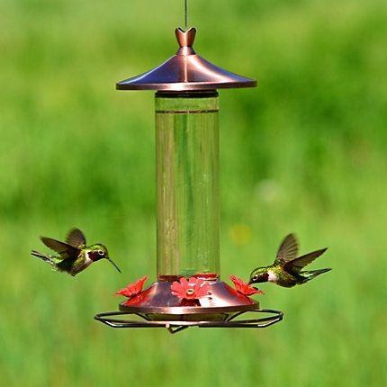 Hummingbird Copper Tulip Top