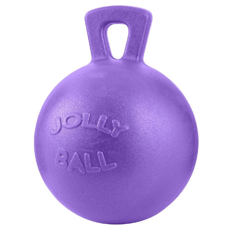 Jolly Ball 10in- Purple