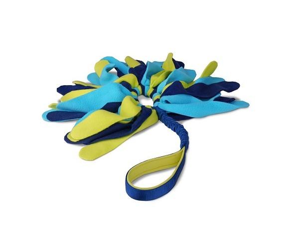 Coachi Tuggi Spider