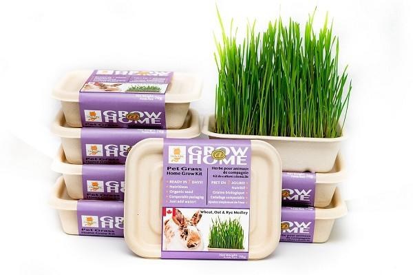 Fog Farms Medley Grass Kit