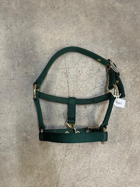 Halter- foal green
