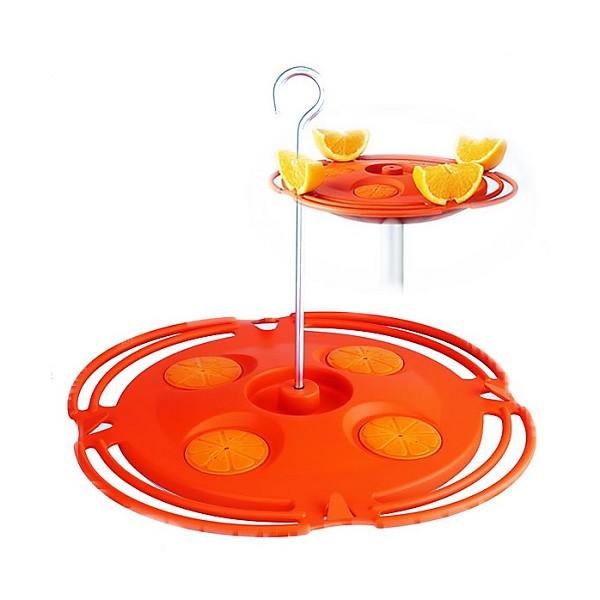 Oriole Feeder Tray Nectar & Fruit Oasis