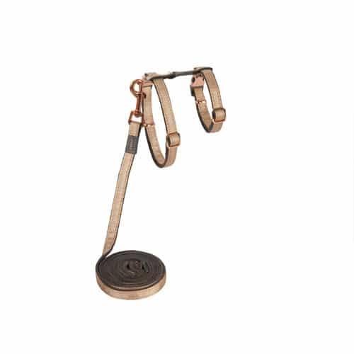 Harness-Cat Gold w Leash