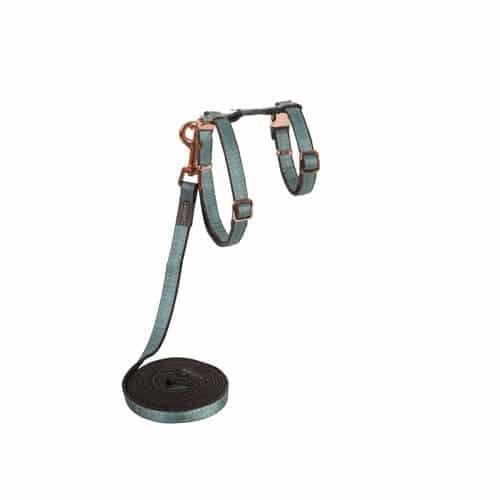 Harness-Cat Blue w Leash