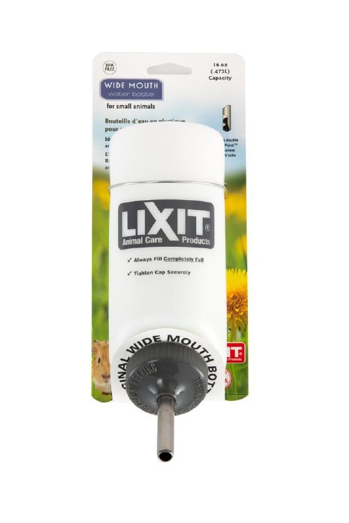 Water Bottle 16oz