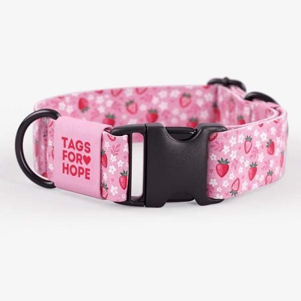 TFH Cat Collar Stawberry Sweetheart S
