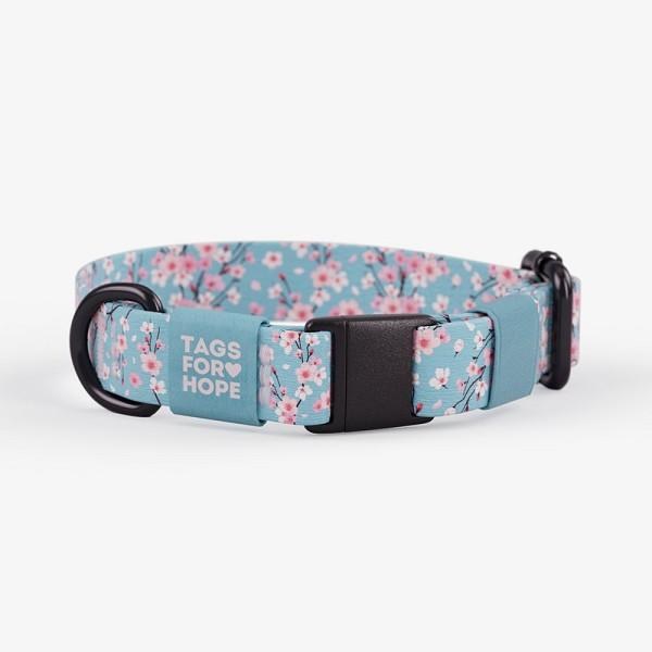 TFH Collar M Cherry Blossoms