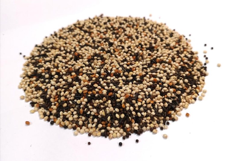 Finch Fancy 2kg