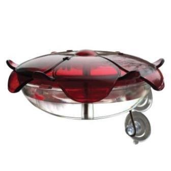 Hummingbird Feeder - Ruby Sipper Window