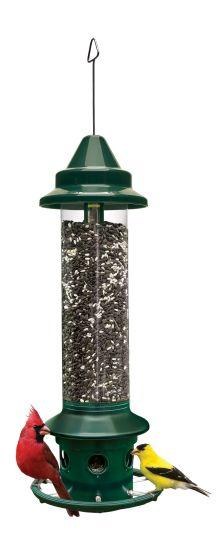 Squirrel Buster Plus