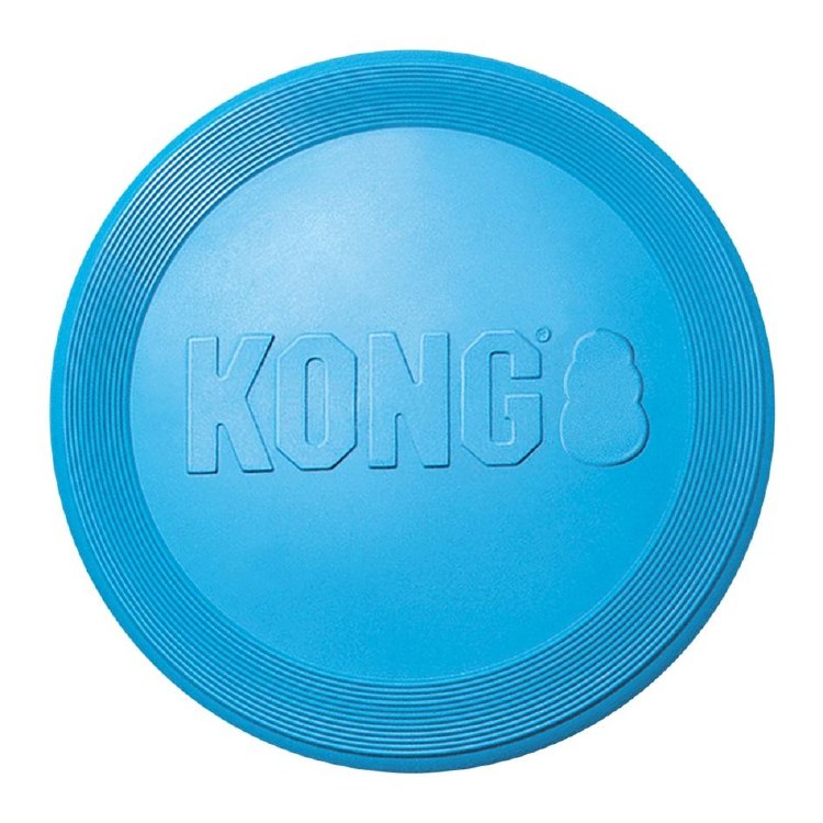Kong Puppy Flyer 9.5in