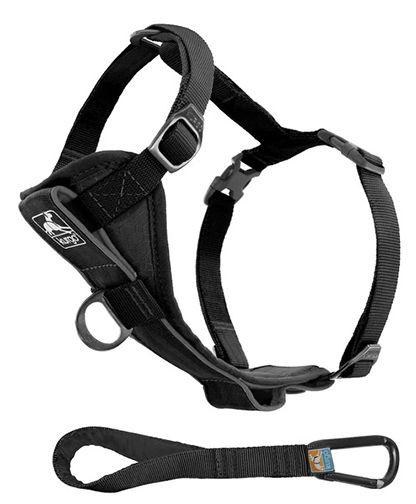 Kurgo Tru-Fit Auto Harness L