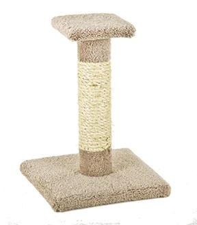 Kitty Cactus+Sisal+Top 18in