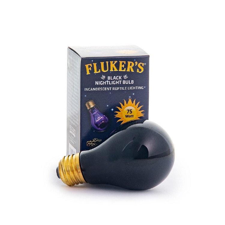 Bulb - Black Nightlight 75w