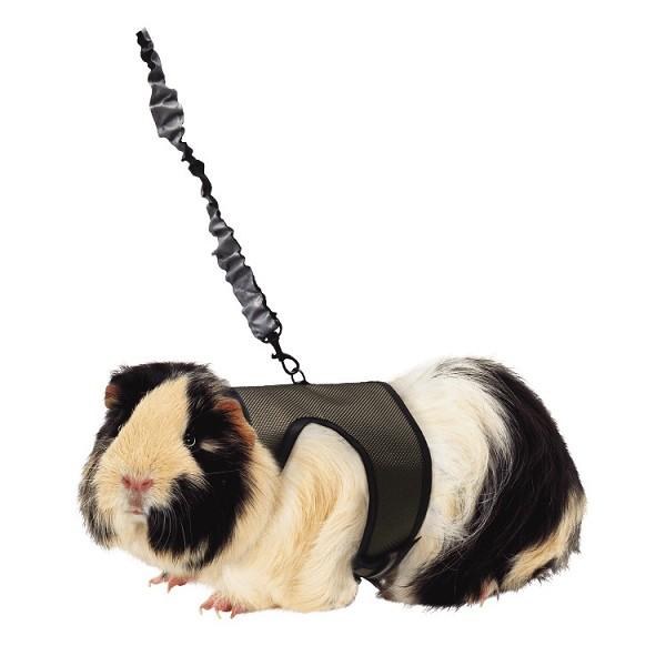 Comfort Harness With Stretch Lead L