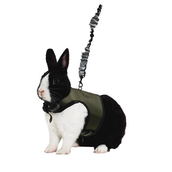 Comfort Harness With Stretch Lead XL