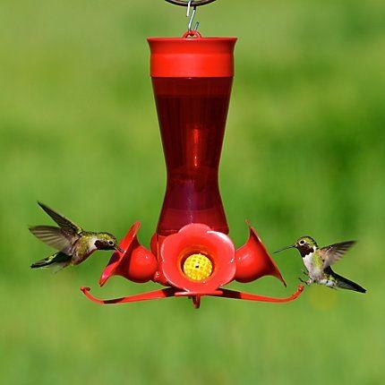Hummingbird Pinched Plastic