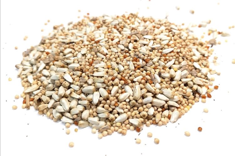 Bye Bye Black Bird 4kg