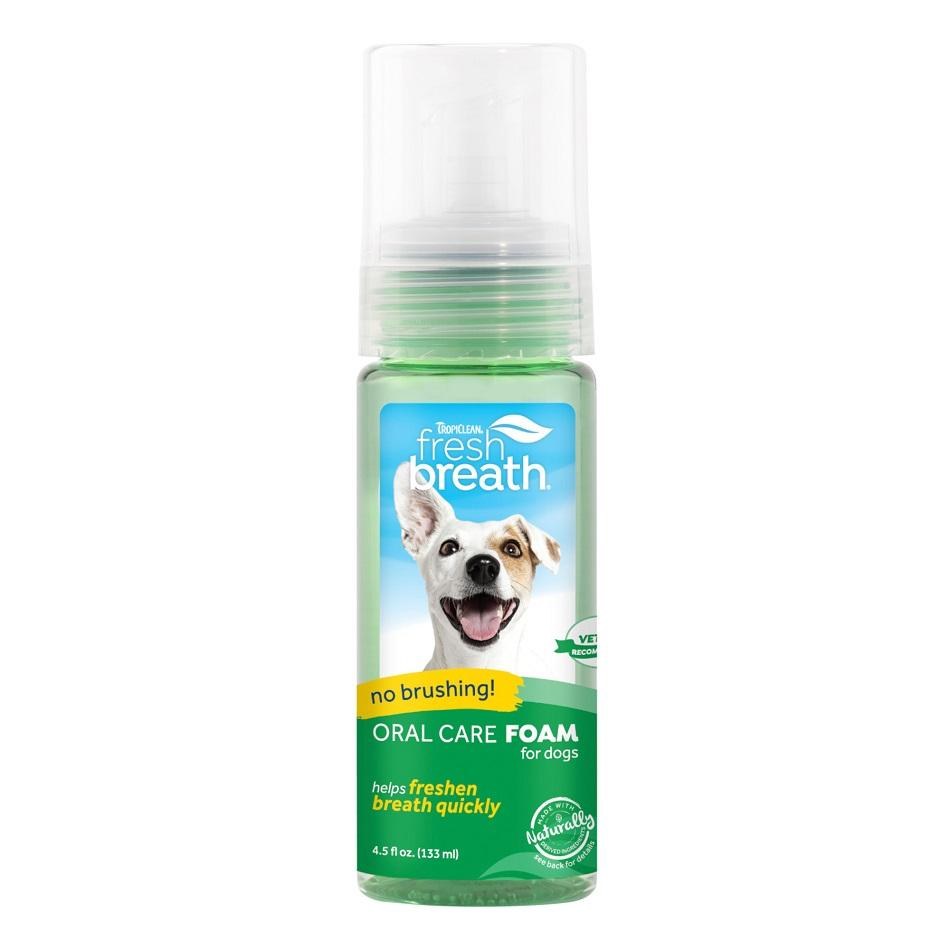 Fresh Breath Mint Foam Dreamland Pet