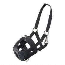 Grazing Muzzle Horse