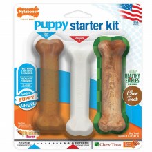 Nylabone Puppy Starter Kit