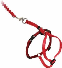 Come With Me Kitty Harness Red