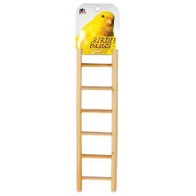 Birdie Basics Ladder 7 Step