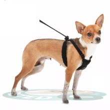 Sporn No-Pull Mesh Harness M