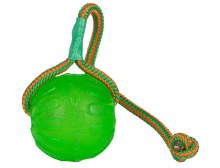 Swing & Fling Chew Ball