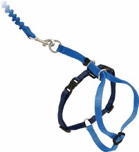 Come With Me Kitty Harness Blue