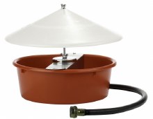 Poultry Fountain - Automatic