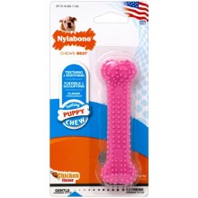 Nylabone Dental Petite Pk