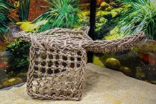 Additional picture of Lizard Lounger Lg Corner