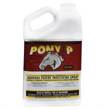 Pony XP 4L