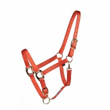 Western Rawhide Adjustable Nylon Halter Horse Or