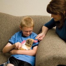 Additional picture of Ware Groom-N-Kit