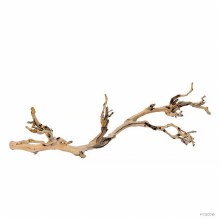 Exo Terra Forest Branch Lg
