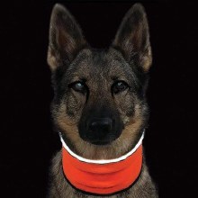 Hi Vis Neck Guard S