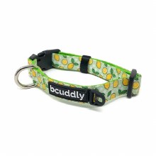 Becuddly Collar Small