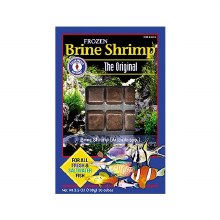 Brine Shrimp Frozen