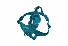 RC Pet Momentum Harness Teal