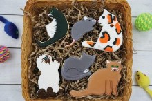 Additional picture of Cookie Cutters- Cat 6pc Set