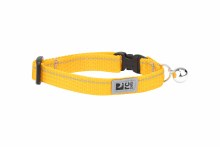 R.C Kitty Collar Marigold