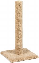 Scratcher Post 28 in