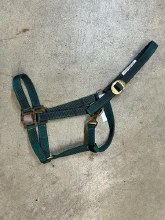 Halter- Green Nylon Horse