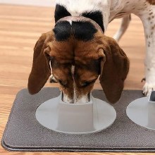 Additional picture of Ear-Clear Pet Feeding Station